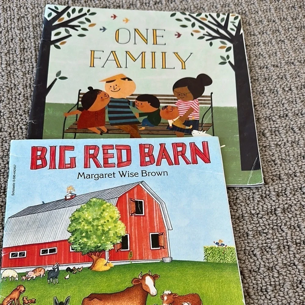 Children's Book Bundle Pk/Kg level